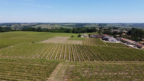 Entre Château Vieille Tour et Château Réaut