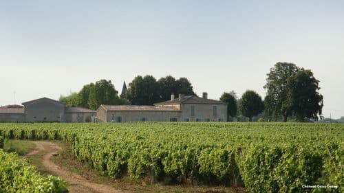La boucle des vins d’or entre Barsac et Sauternes - 40 km